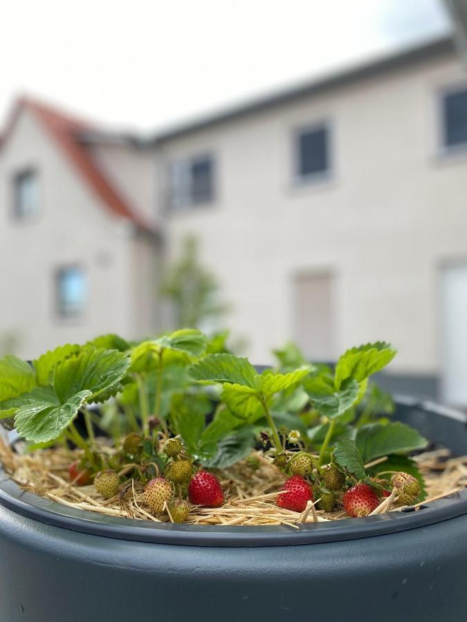 Fewo Sulzer Siedlung Erfurt "Haus 6" Apartment Екстериор снимка
